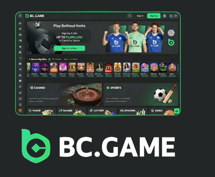 Understanding the BC.Game App Login Process A Complete Guide -286547932
